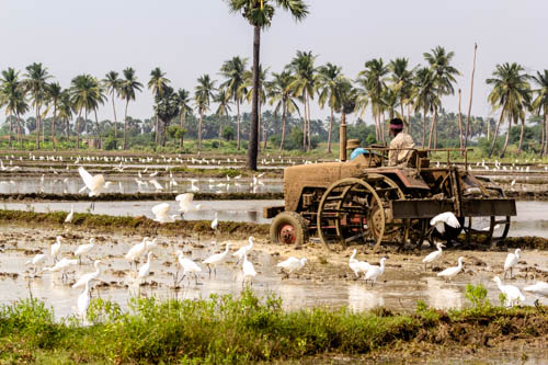 Sustainable farming